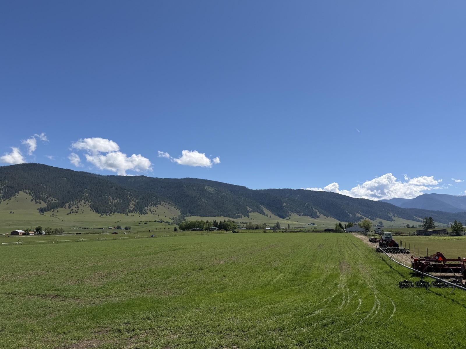 The Montana pasture and mountains where Woodcock Livestock hogs are raised, near Missoula